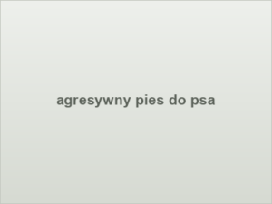 agresywny pies do psa
