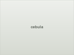 cebula