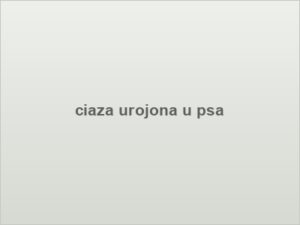ciaza urojona u psa