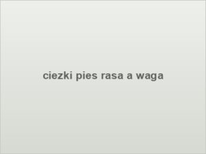 ciezki pies rasa a waga