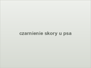 czarnienie skory u psa