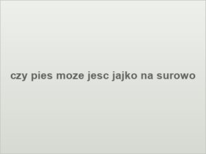 czy pies moze jesc jajko na surowo