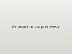 ile powienn pic pies wody