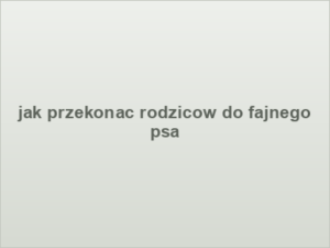 jak przekonac rodzicow do fajnego psa
