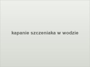 kapanie szczeniaka w wodzie