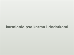 karmienie psa karma i dodatkami