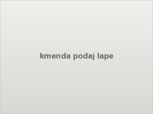 kmenda podaj lape