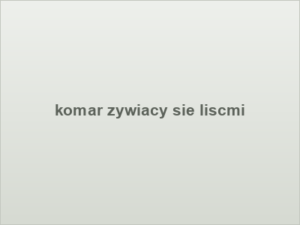 komar zywiacy sie liscmi