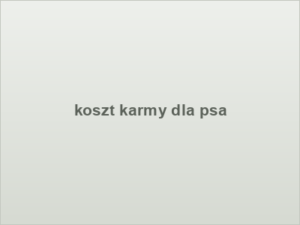 koszt karmy dla psa