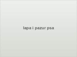 lapa i pazur psa