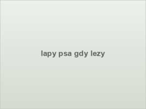 lapy psa gdy lezy