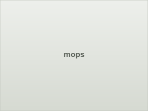 mops