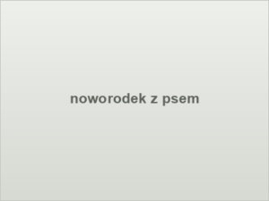 noworodek z psem