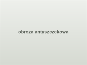 obroza antyszczekowa