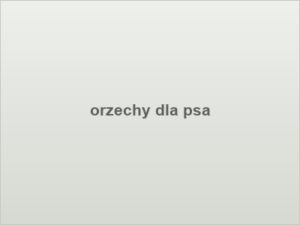 orzechy dla psa