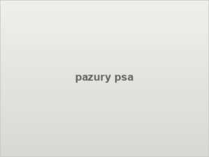 pazury psa