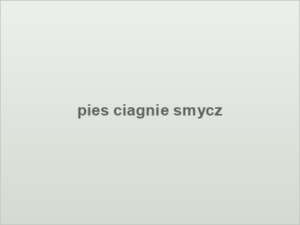 pies ciagnie smycz