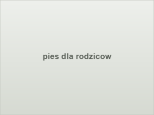 pies dla rodzicow
