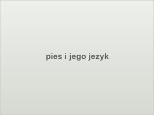 pies i jego jezyk