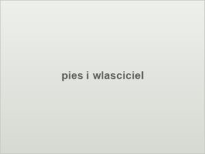 pies i wlasciciel