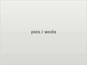 pies i woda