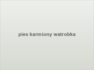 pies karmiony watrobka