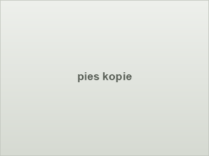 pies kopie