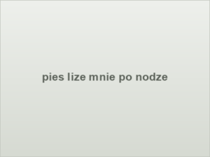 pies lize mnie po nodze