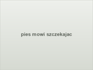 pies mowi szczekajac