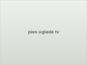 pies oglada tv