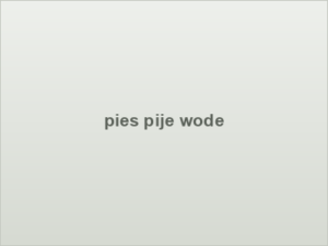 pies pije wode