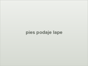 pies podaje lape