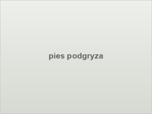 pies podgryza