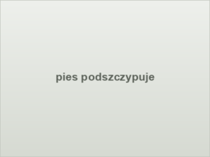 pies podszczypuje