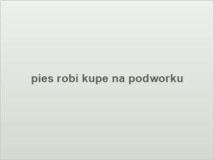 pies robi kupe na podworku