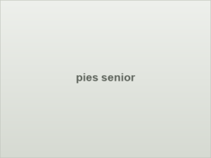 pies senior