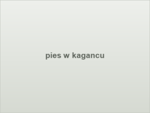 pies w kagancu