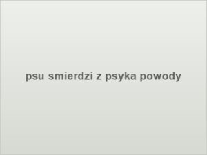 psu smierdzi z psyka powody