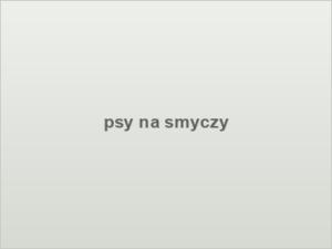 psy na smyczy