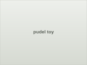 pudel toy
