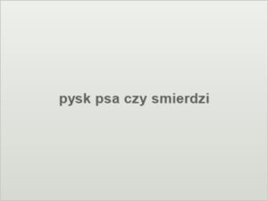 pysk psa czy smierdzi