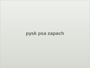 pysk psa zapach