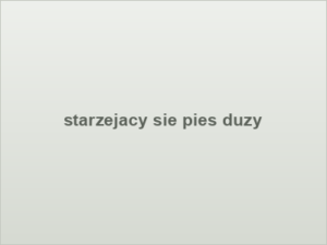 starzejacy sie pies duzy