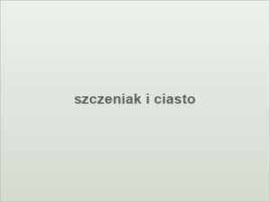 szczeniak i ciasto