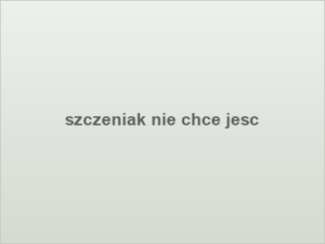 szczeniak nie chce jesc