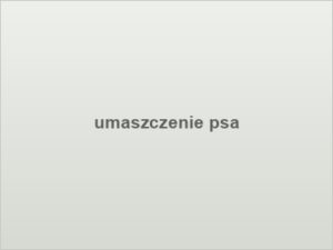 umaszczenie psa