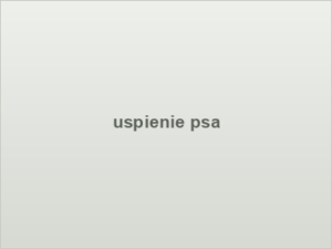 uspienie psa