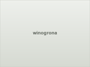 winogrona