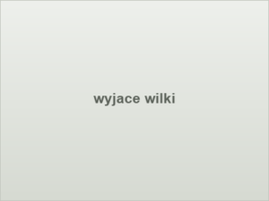 wyjace wilki