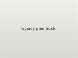wyjacy pies huski